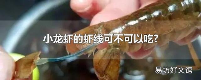 小龙虾的虾线可不可以吃?