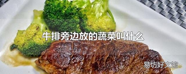 牛排旁边放的蔬菜叫什么