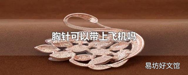 胸针可以带上飞机吗