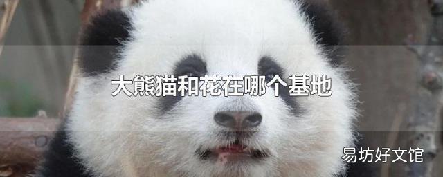 大熊猫和花在哪个基地