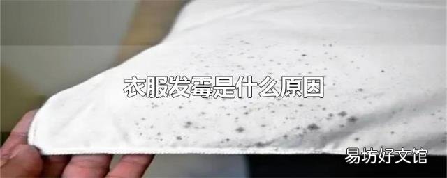 衣服发霉是什么原因