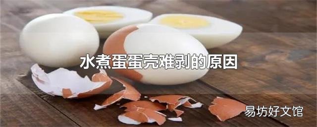 水煮蛋蛋壳难剥的原因