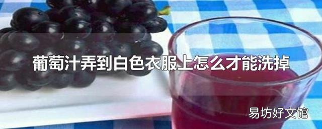 葡萄汁弄到白色衣服上怎么才能洗掉