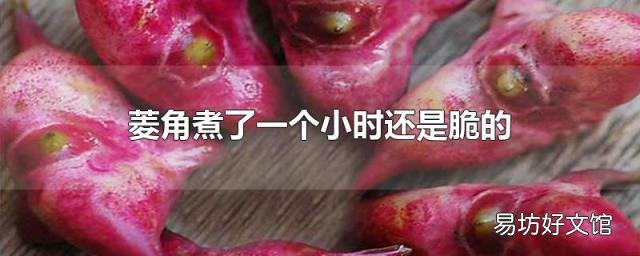 菱角煮了一个小时还是脆的