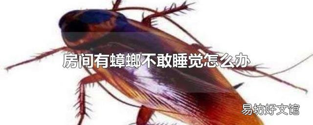房间有蟑螂不敢睡觉怎么办