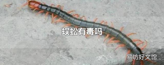 蜈蚣有毒吗