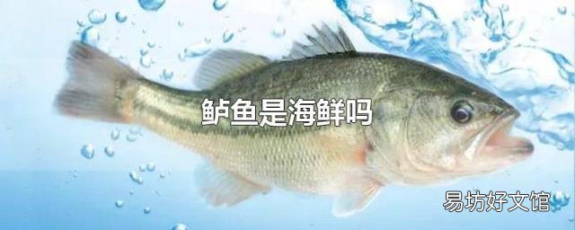 鲈鱼是海鲜吗