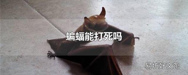 蝙蝠能打死吗