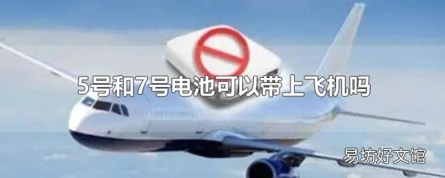 5号和7号电池可以带上飞机吗