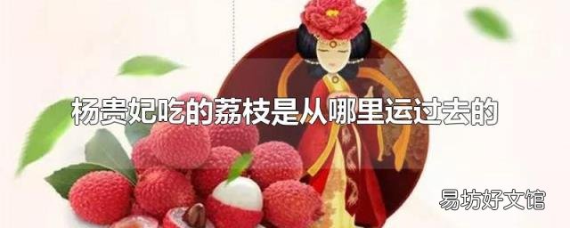 杨贵妃吃的荔枝是从哪里运过去的
