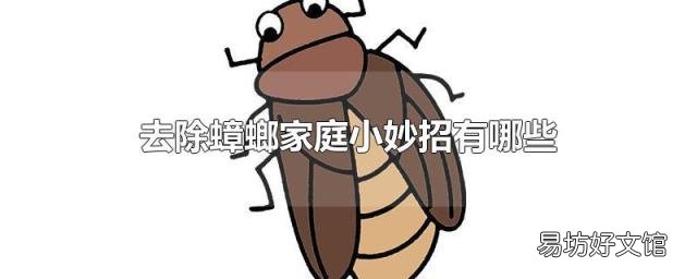 去除蟑螂家庭小妙招有哪些