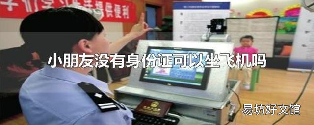小朋友没有身份证可以坐飞机吗