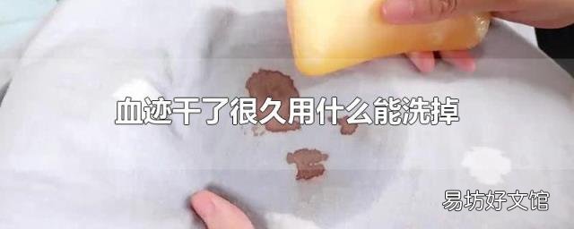 血迹干了很久用什么能洗掉