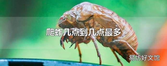 爬蚱几点到几点最多