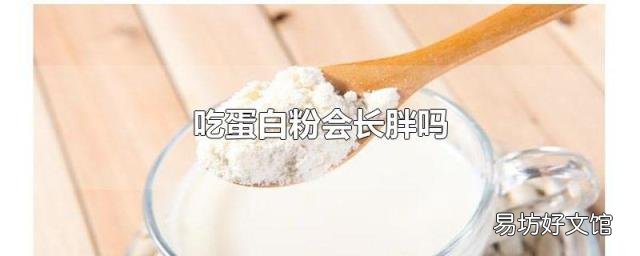 吃蛋白粉会长胖吗