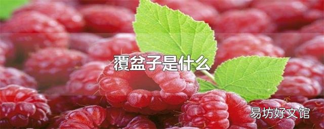 覆盆子是什么