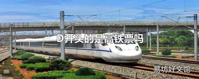 D开头的是高铁票吗