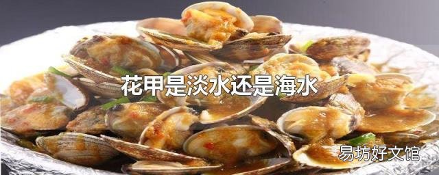 花甲是淡水还是海水