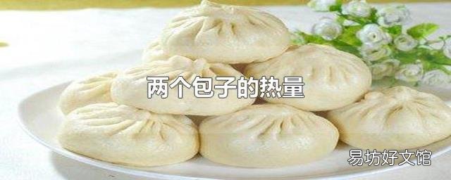 两个包子的热量