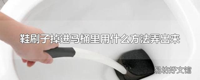 鞋刷子掉進(jìn)馬桶里用什么方法弄出來