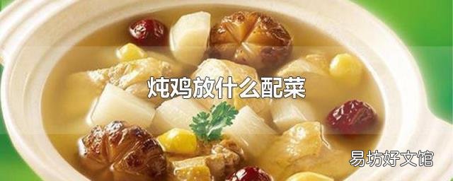 炖鸡放什么配菜