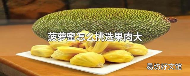 菠萝蜜怎么挑选果肉大