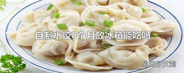 自制水饺8个月放冰箱能吃吗