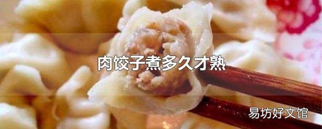 肉饺子煮多久才熟