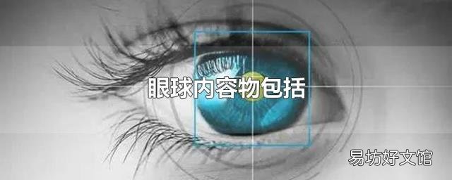 眼球内容物包括