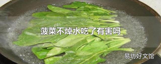 菠菜不焯水吃了有害吗
