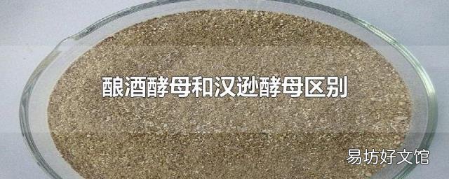 酿酒酵母和汉逊酵母区别