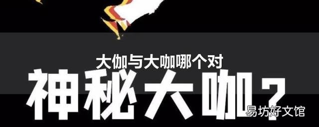 大伽与大咖哪个对