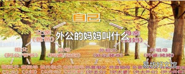 外公的妈妈叫什么