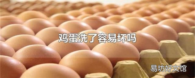 鸡蛋洗了容易坏吗