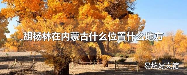 胡杨林在内蒙古什么位置什么地方