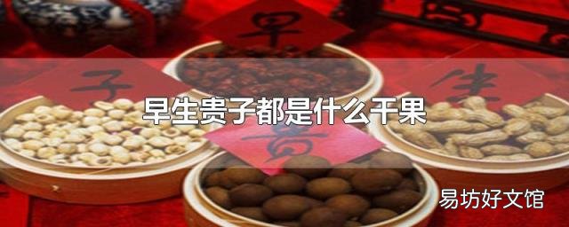 早生贵子都是什么干果