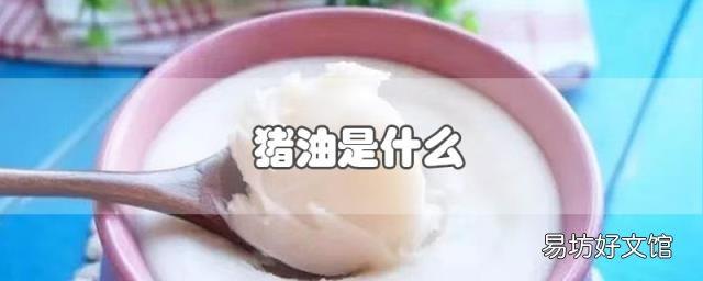 猪油是什么