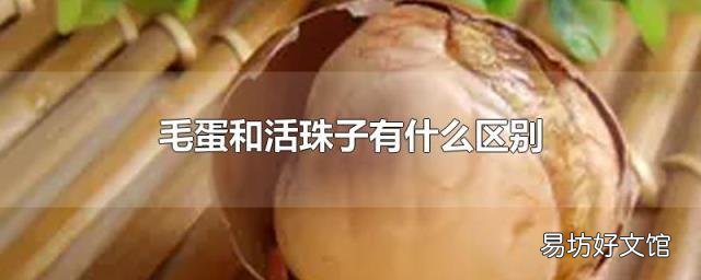 毛蛋和活珠子有什么区别