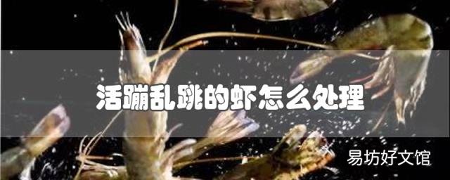 活蹦乱跳的虾怎么处理