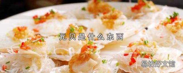 元貝是什么東西