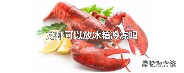 龙虾可以放冰箱冷冻吗