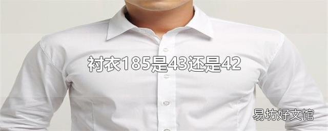 衬衣185是43还是42