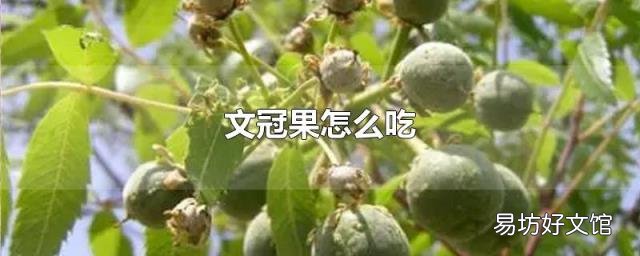 文冠果怎么吃