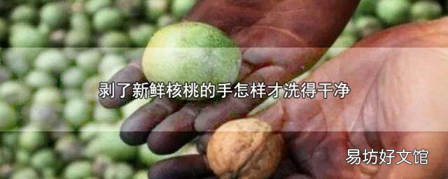 剝了新鮮核桃的手怎樣才洗得干凈
