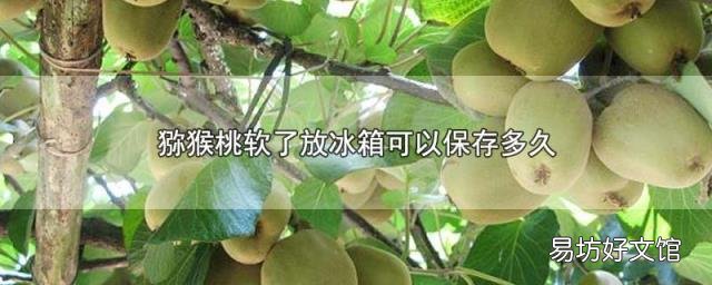 猕猴桃软了放冰箱可以保存多久