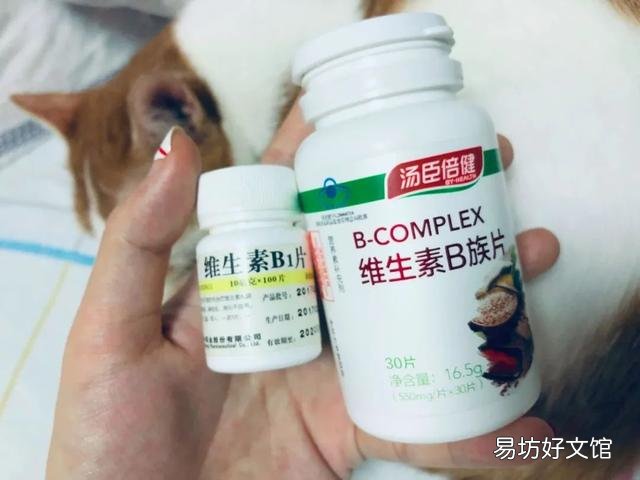 猫掉毛严重有什么方法解决(猫掉毛严重什么原因)