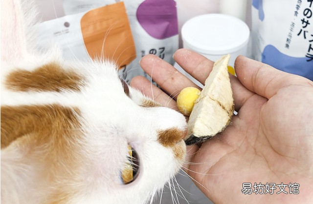 猫掉毛严重有什么方法解决(猫掉毛严重什么原因)