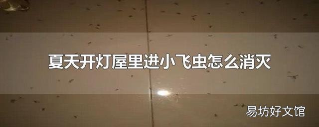 夏天开灯屋里进小飞虫怎么消灭