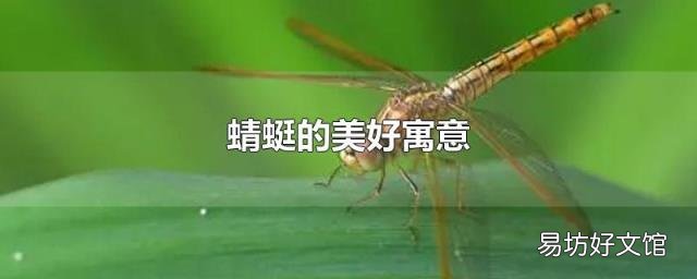 蜻蜓的美好寓意