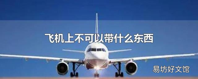 飞机上不可以带什么东西